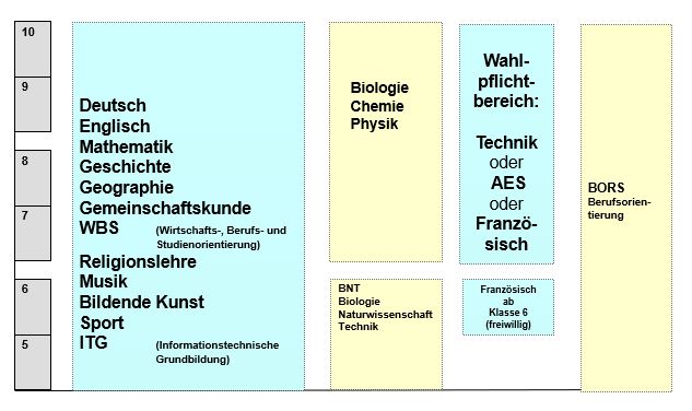 Wahlpflicht RS